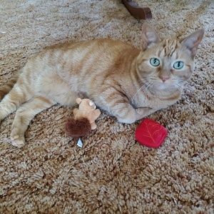 Meet your Posher, Kimm